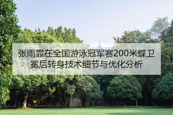 张雨霏在全国游泳冠军赛200米蝶卫冕后转身技术细节与优化分析